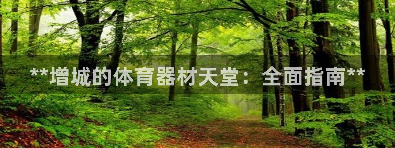 杏鑫平台代理怎么做：**增城的体育器材天堂：全面指南