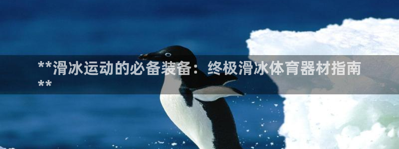 杏鑫平台寇 5O6917 杏鑫：**滑冰运动的必备装