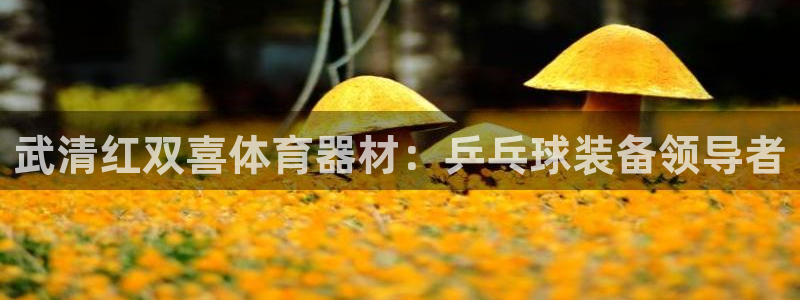 杏鑫成语：武清红双喜体育器材：乒乓球装备领导者