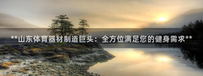 杏鑫娱乐提款怎么取消：**山东体育器材制造巨头：全方