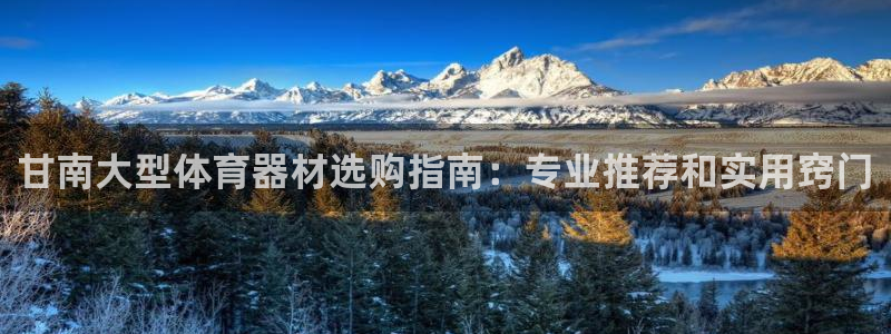 杏鑫娱乐返点多少钱：甘南大型体育器材选购指南：专业推