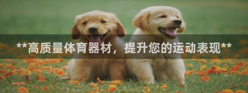 杏鑫集团董事长抖音是谁：**高质量体育器材，提升您的