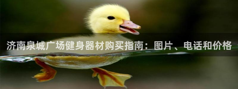 杏鑫娱乐官网首页登录不了：济南泉城广场健身器材购买指