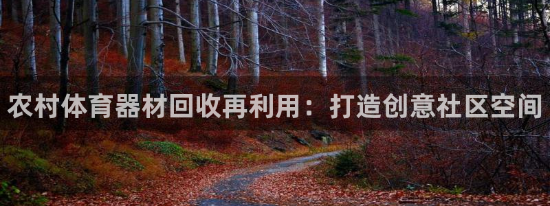 杏鑫集团罗文斌：农村体育器材回收再利用：打造创意社区