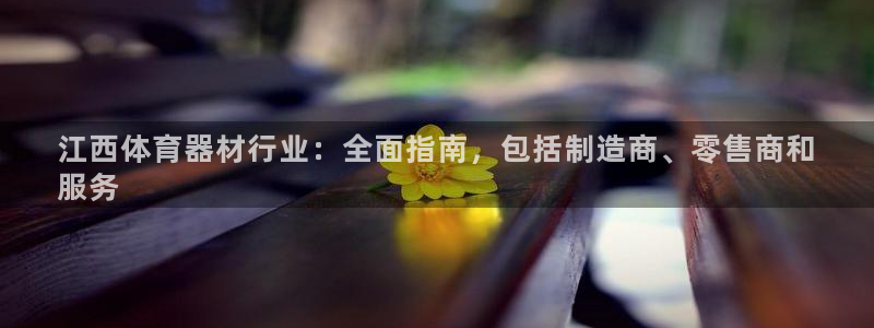杏鑫平台网址：江西体育器材行业：全面指南，包括制造商