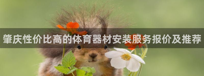 杏鑫娱乐如何登录平台账号：肇庆性价比高的体育器材安装