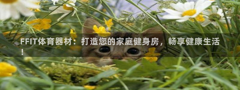 杏鑫三国官网：FFIT体育器材：打造您的家庭健身房，