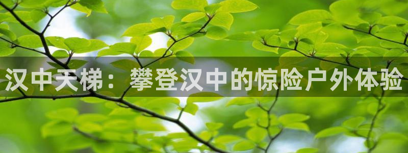 杏鑫集团是什么电影院：汉中天梯：攀登汉中的惊险户外体