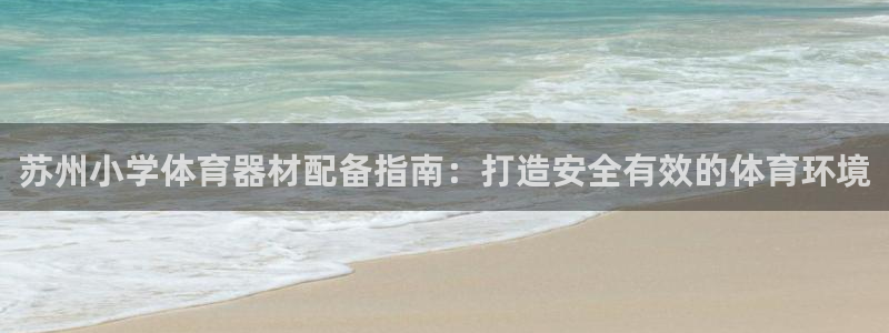 杏鑫天下：苏州小学体育器材配备指南：打造安全有效的体