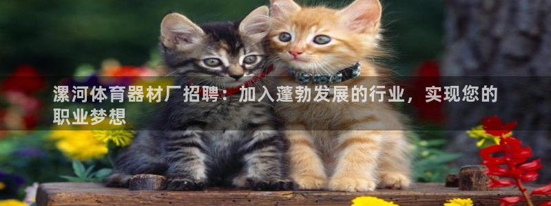 杏鑫平台开户联4.8.7.7.8.4他系稳定吗