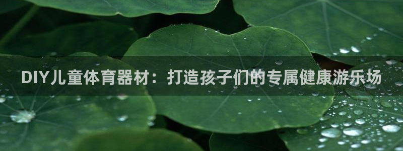 杏鑫平台总代理:DIY儿童体育器材:打造孩子们的专属健康游乐
