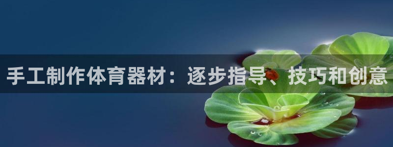 杏鑫娱乐间7O777：手工制作体育器材：逐步指导、技