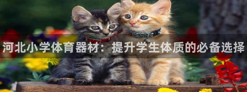 杏鑫娱乐登录地址在哪里:河北小学体育器材:提升学生体质的必备