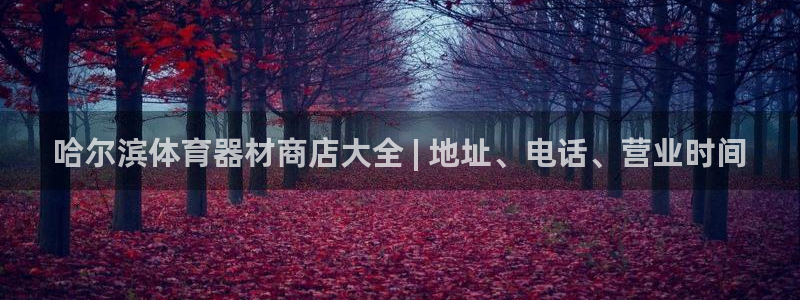 杏鑫平台合作 585341：哈尔滨体育器材商店大全 