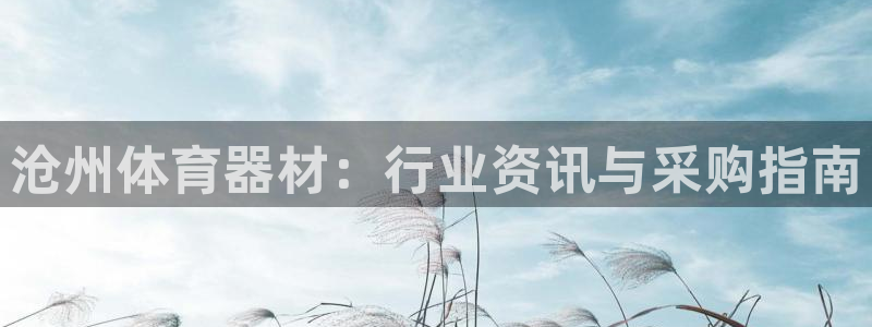 杏鑫娱乐app下载安装最新版：沧州体育器材：行业资讯