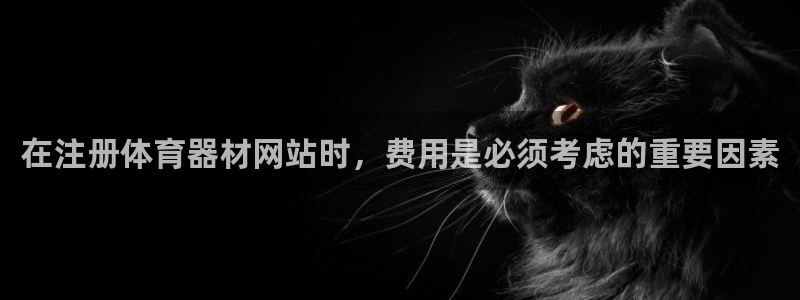 杏鑫挑战怎么过：在注册体育器材网站时，费用是必须考虑